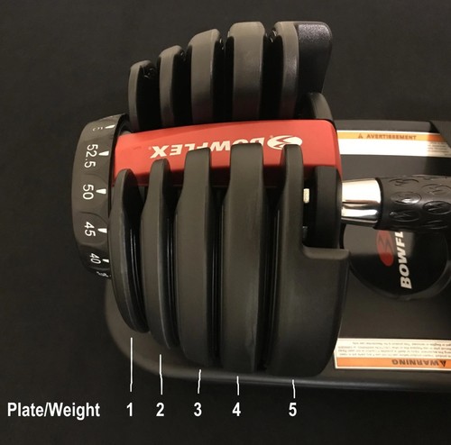 Bowflex selecttech 552 - selecttech,